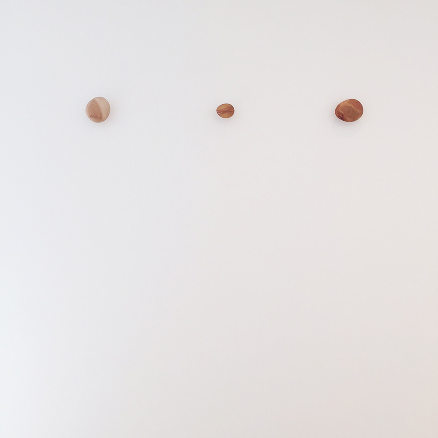 Wood Wall Hooks 作品画像01